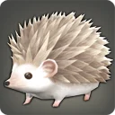 Hedgehoglet