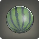 Allagan Melon