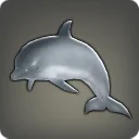 Dolphin Calf