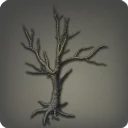 Coldbare Tree