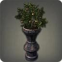 Potted Orange Tree