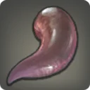 Spoon Worm