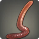 Bloodworm