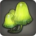 Island Glimshroom