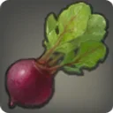 Island Beet