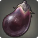 Island Eggplant