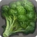 Island Broccoli