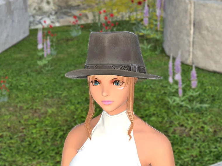 Aesthete's Hat of Gathering - Image