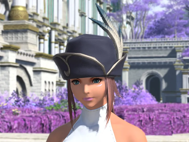 Valerian Brawler's Hat - Image