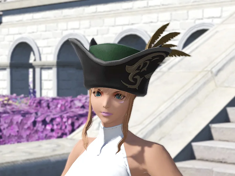 Valkyrie's Tricorne of Scouting - Image