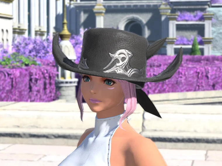Hat of the Lost Thief - Image