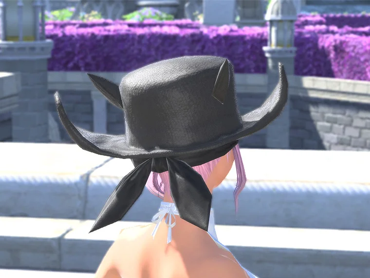Hat of the Lost Thief - Image