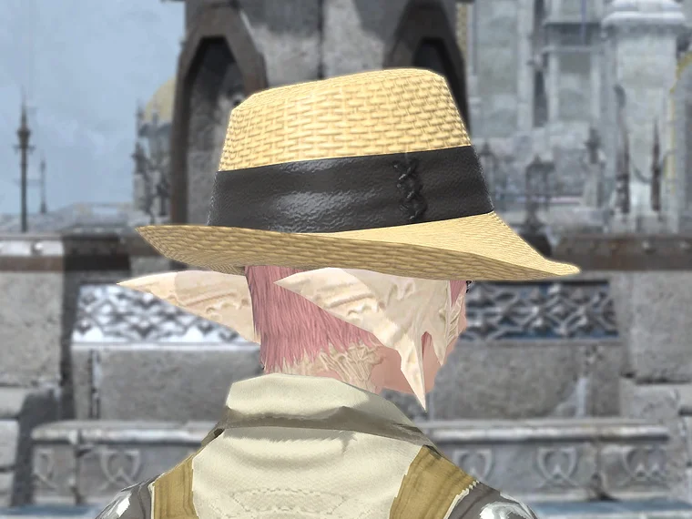 Forager's Hat - Image