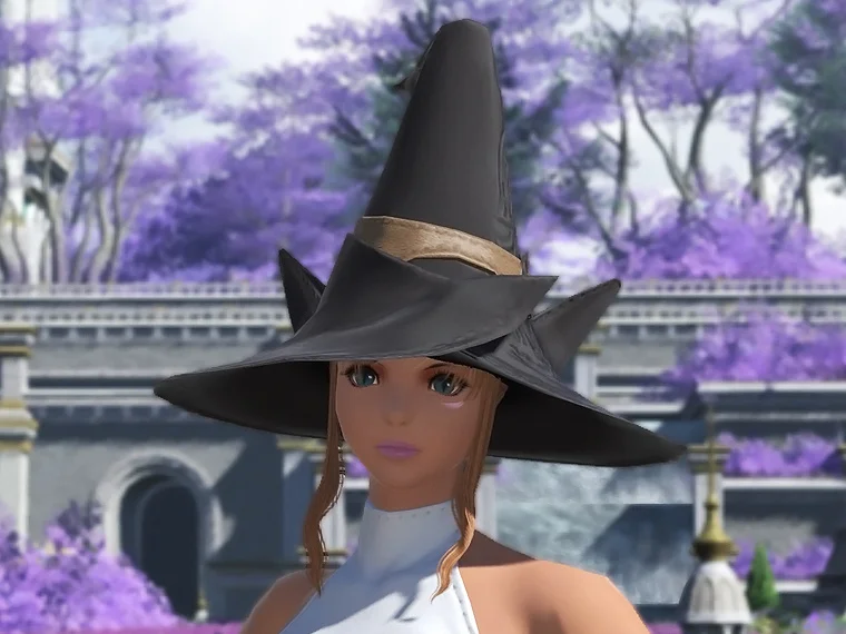 Battlemage's Hat - Image