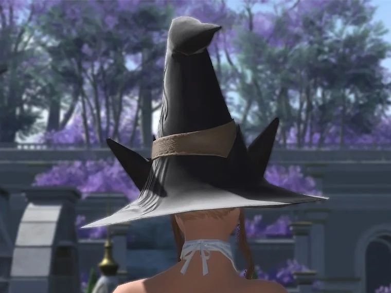 Battlemage's Hat - Image