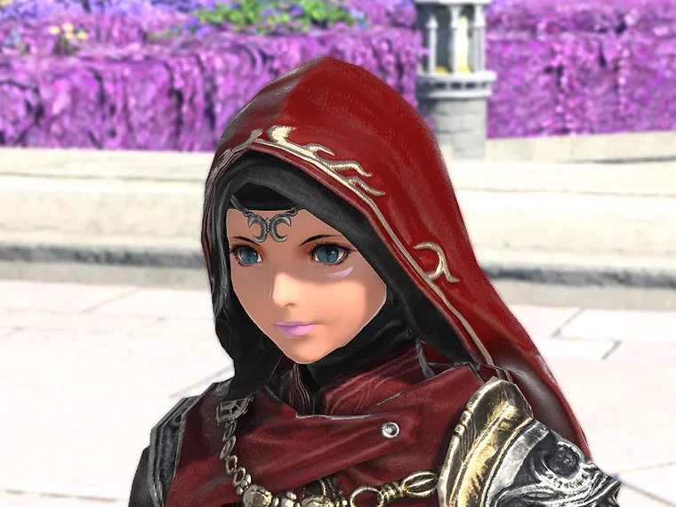 Rinascita Hood of Striking - Image