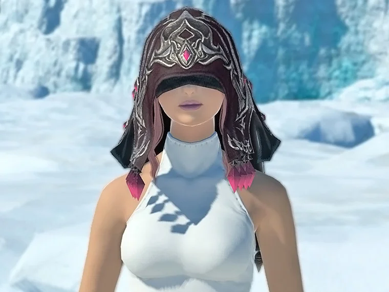 Voidmoon Hood of Aiming - Image