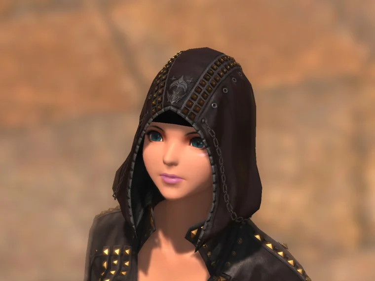 Light-heavy Hood of Scouting - Image