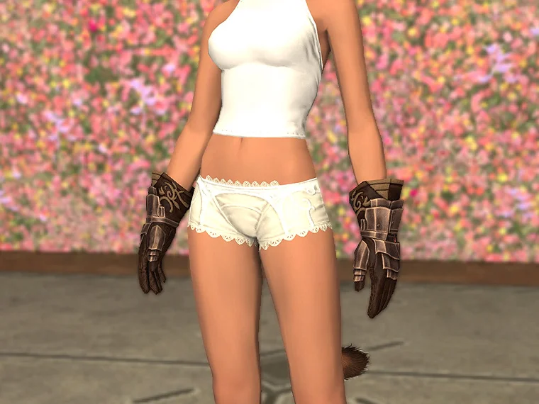 パーラカ・スレイヤーヴァンブレイス