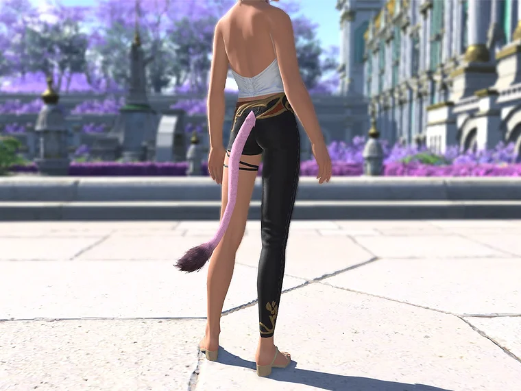 Aoidos' Tights - Image