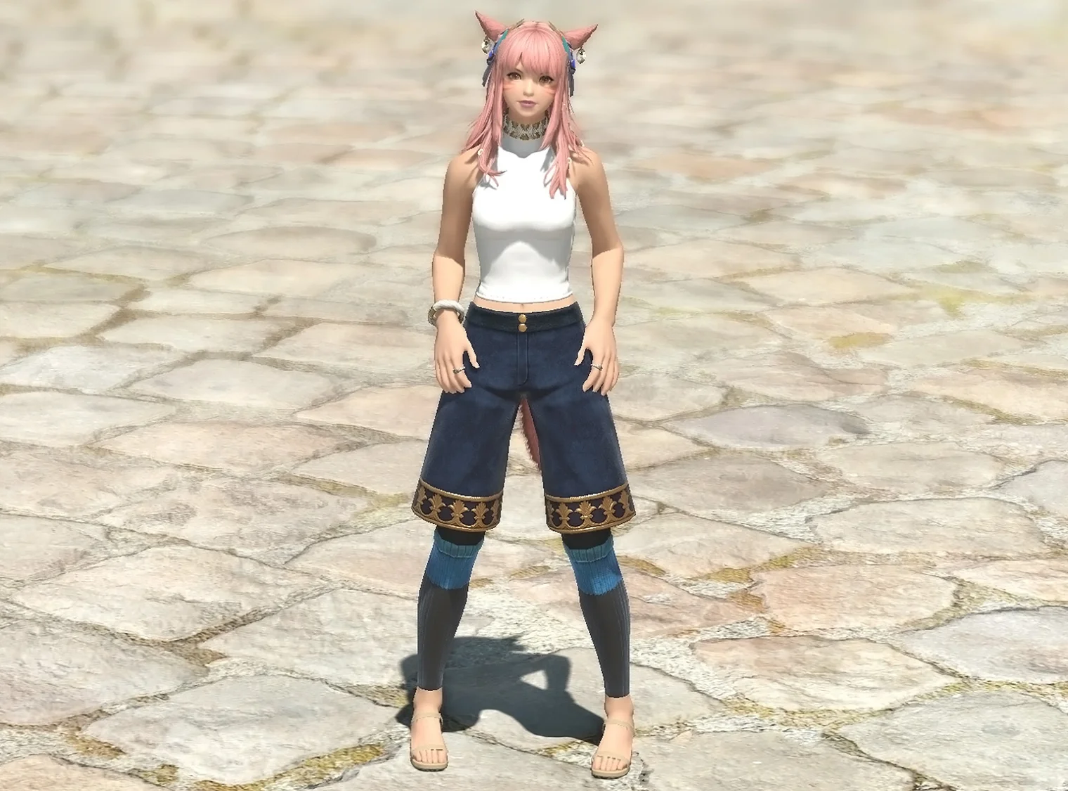 Crested Culottes of Crafting - Image