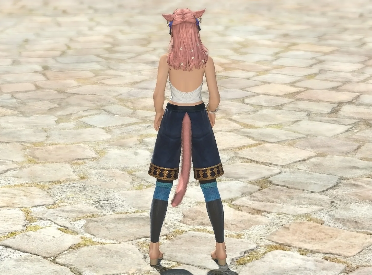 Crested Culottes of Crafting - Image