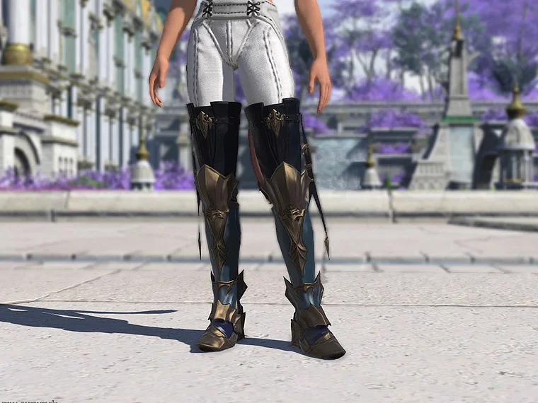 Anamnesis Sollerets of Maiming