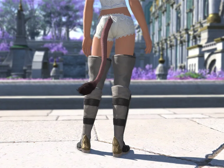 Valerian Brawler's Thighboots - Image