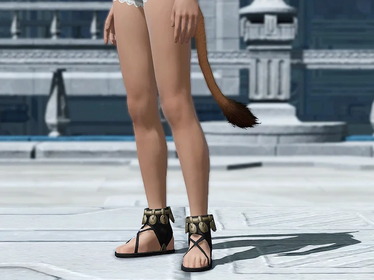 Panegyrist's Sandals - Image