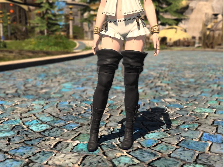 Adept's Thighboots - Image