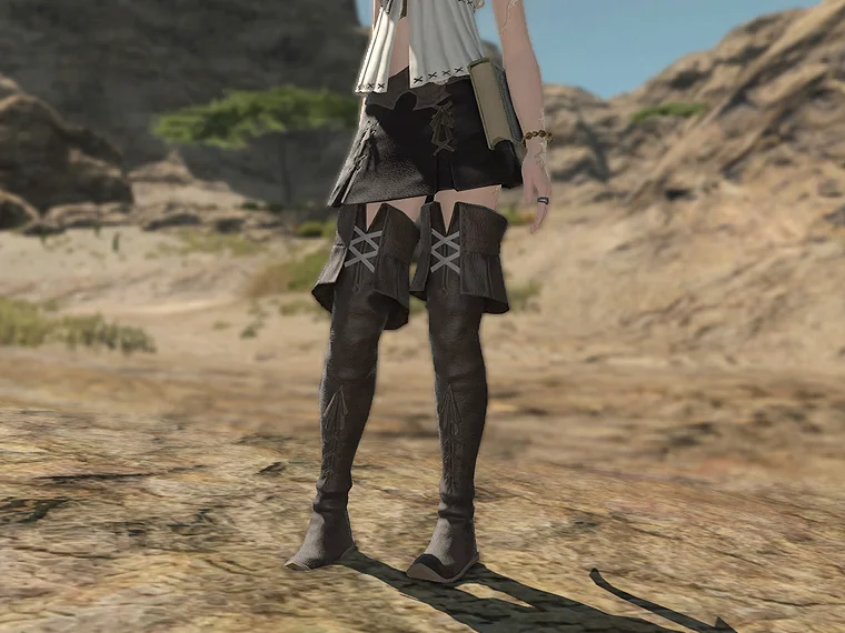 Acolyte's Thighboots - Image