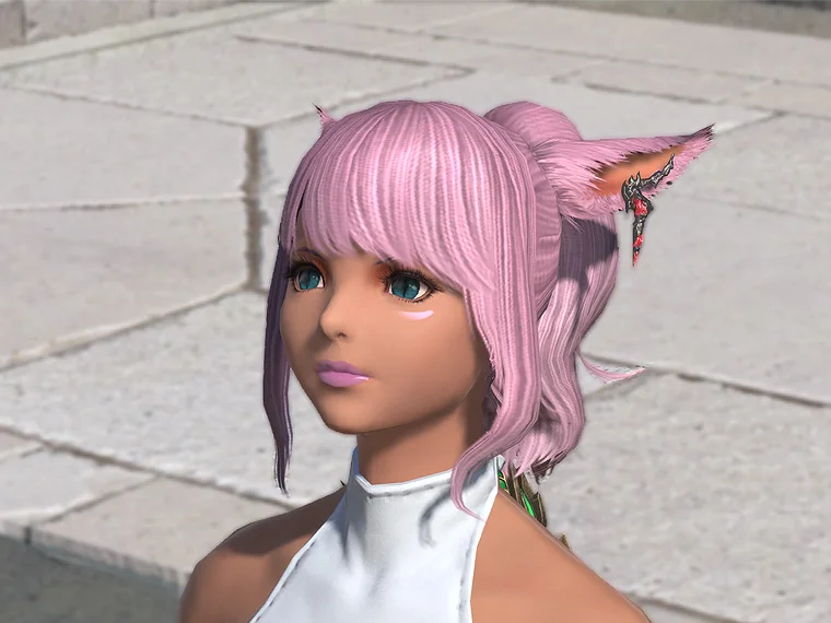 パーラカ・ディフェンダーイヤリング