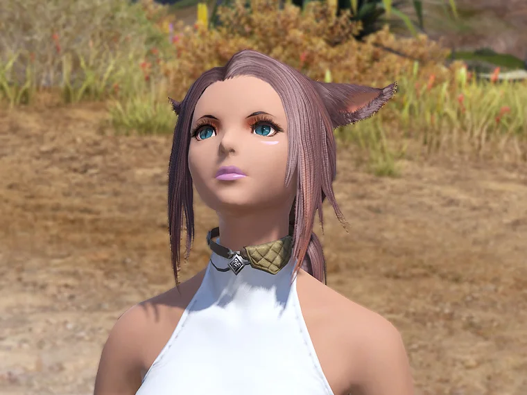 ナバスアレン・ディフェンダーチョーカー