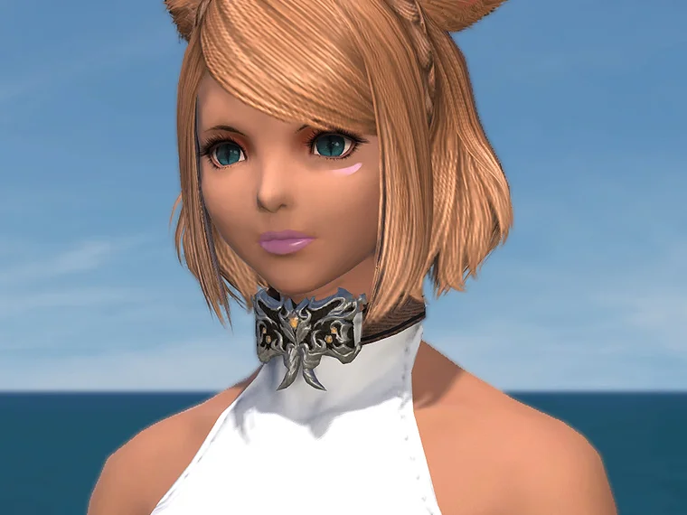 キタンナ・ディフェンダーチョーカー