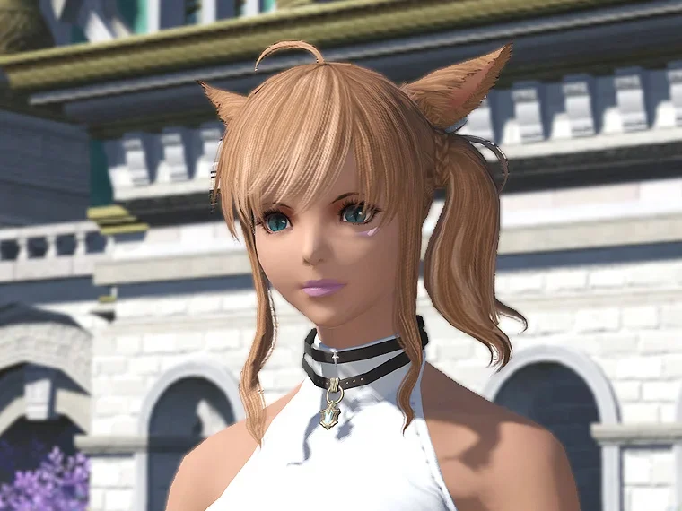 アライアンス・ディフェンダーネックレス