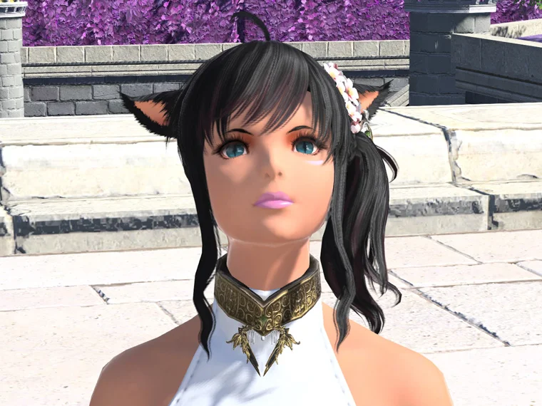 ディスタンス・ディフェンダーチョーカー