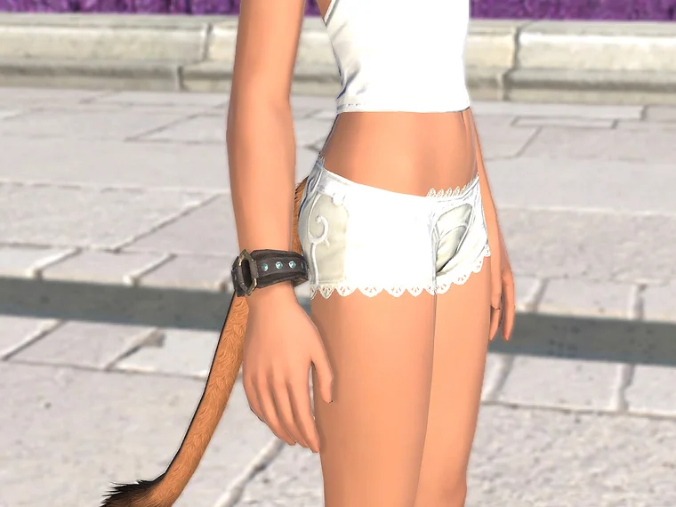 エアルーム・ディフェンダーアミュレット