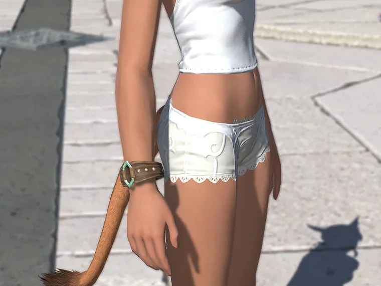 アライアンス・ディフェンダーブレスレット