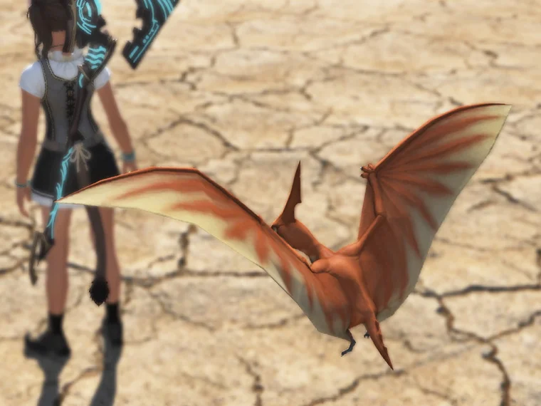 Petit Pteranodon - Image