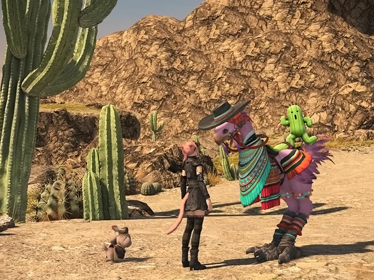 Wild Ride Barding - Image